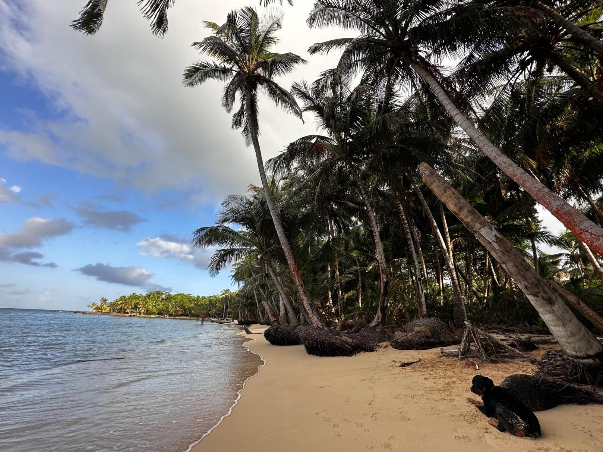 Ensuenos Natural Reserve Little Corn Island Nicaragua Esterno foto